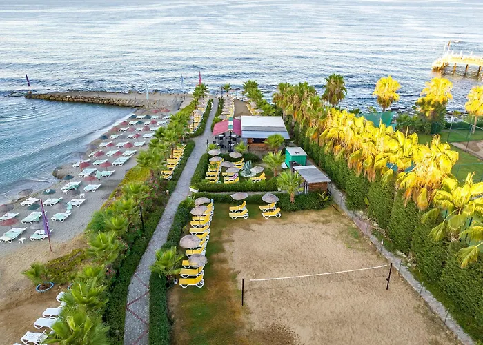 Kolibri אבסלאר